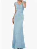Mother Of The Bride Dress Lace V Neck Floor Length Sleeveless Pleated Sheath For Wedding Guests
