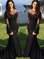 Trumpet Mermaid Tulle Dress With Long Sleeves Sheer Neck Brush Train Applique Elegant Evening Gown For Prom