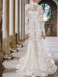 Elegant Boho Mermaid Wedding Dress With Lace Appliques High Neck Long Sleeve Court Train Bride Gown