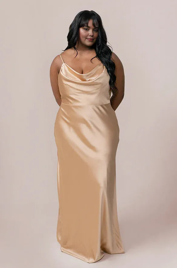 Fitted A-line Cowl Neck Sleeveless Backless Floor-Length Prom Dress