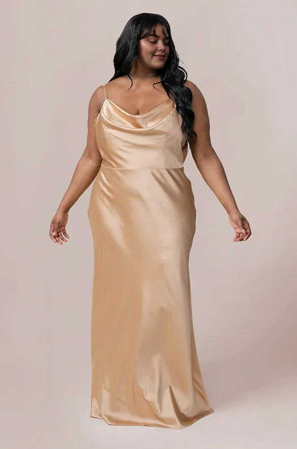 Fitted A-line Cowl Neck Sleeveless Backless Floor-Length Prom Dress