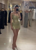 V Neck Sleeveless Mermaid Pleated Long Homecoming Dress
