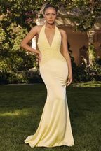 Charming Mermaid Halter Neck Sleeveless Tie Back Floor Length Prom Dress