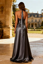 Charming A-Line Halter Neck Sleeveless Sweep/Brush Train Prom Dress