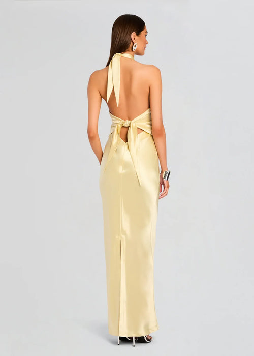 Chic Sheath Halter Neck Sleeveless Tie Back Floor Length Plus Size Prom Dress