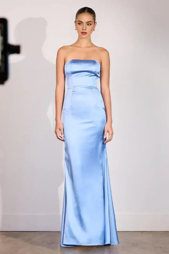 Fitted Strapless Sleeveless Floor-Length Prom Dress