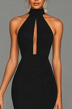 Mermaid/Trumpet Halter Neck Sleeveless Sweep/Brush Train Evening Dress
