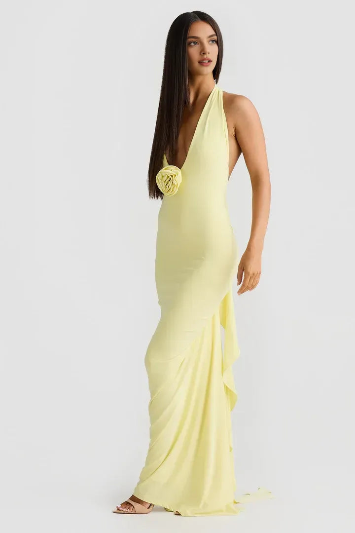 Budget Fitted V Neck Sleeveless Backless Floor-Length Prom Dress