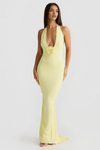 Budget Fitted V Neck Sleeveless Backless Floor-Length Prom Dress