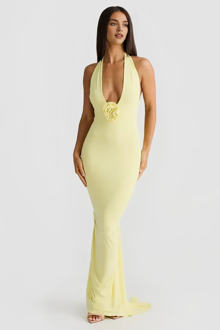Budget Fitted V Neck Sleeveless Backless Floor-Length Prom Dress