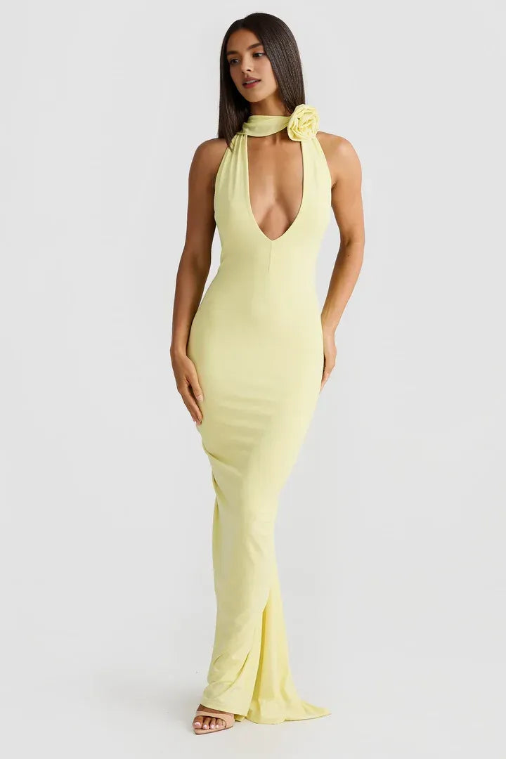 Budget Fitted V Neck Sleeveless Backless Floor-Length Prom Dress