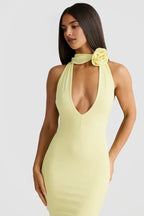 Budget Fitted V Neck Sleeveless Backless Floor-Length Prom Dress