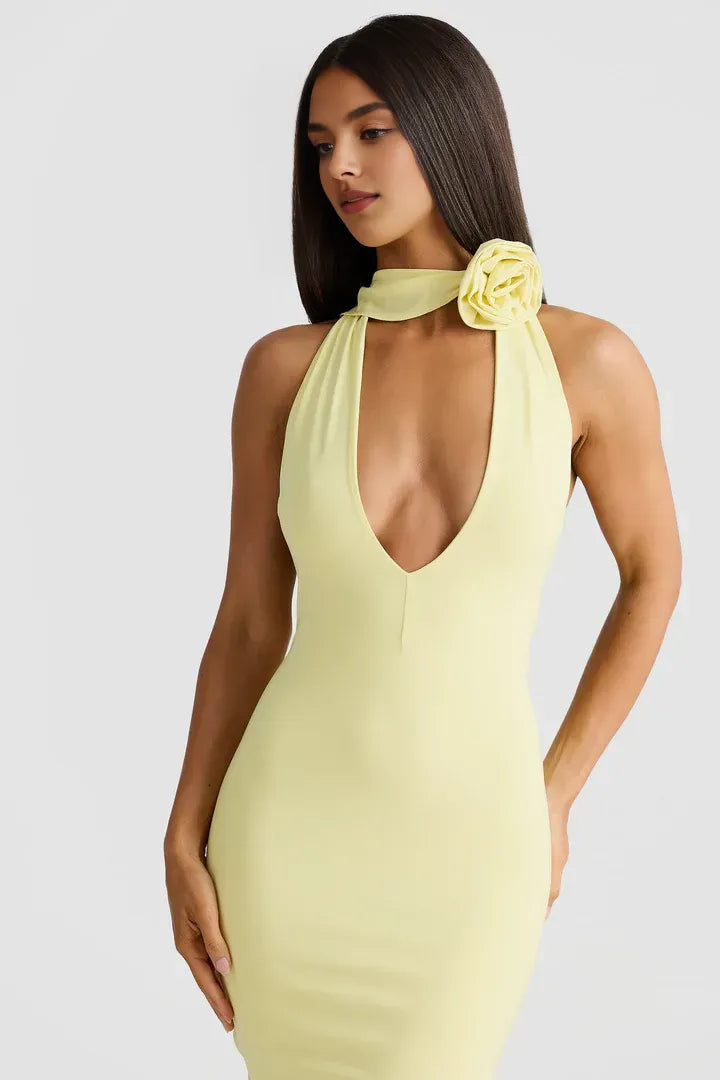 Budget Fitted V Neck Sleeveless Backless Floor-Length Prom Dress