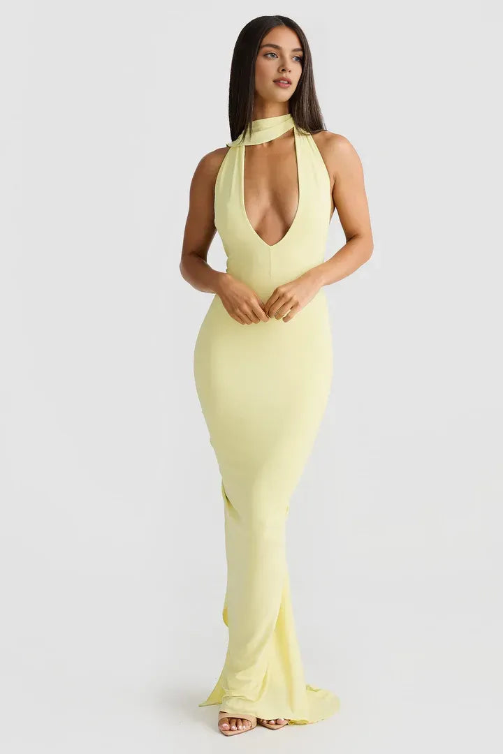 Budget Fitted V Neck Sleeveless Backless Floor-Length Prom Dress