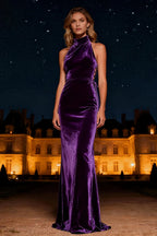 Discount Mermaid/Trumpet Halter Neck Sleeveless Sweep/Brush Train Winter Prom Dress