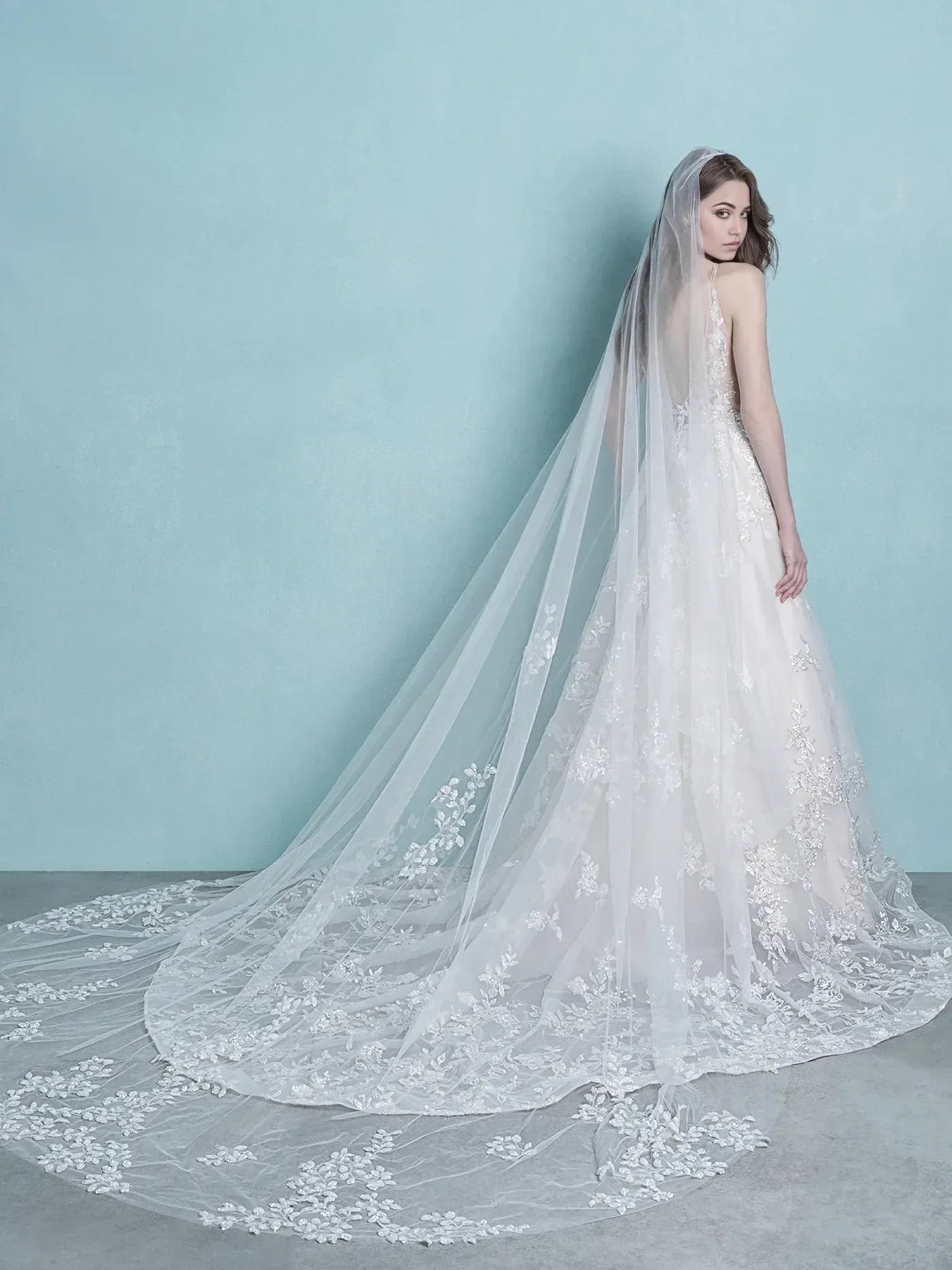 Dreamy A Line Plunging V Neck Sleeveless Open Back Floor Length Wedding Dress