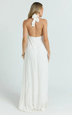Elegant A Line Halter Sleeveless Tie Back Floor Length Plus Size Evening Dress