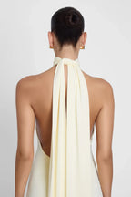Elegant Sheath Halter Neck Sleeveless Draped Back Floor Length Prom Dress