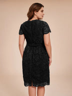 Fashion Sheath V-neck Short Sleeves Knee-Length Plus Size Mother of the Bride Dress