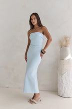 Sheath/Column Strapless Neck Sleeveless Zipper Up Ankle-Length Cocktail Dress