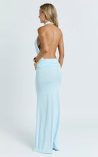 Glamorous Sheath Halter Sleeveless Open Back Floor Length Plus Size Evening Dress