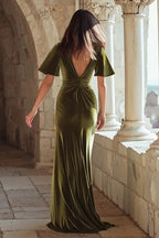 Mermaid/Trumpet V Neck Short Sleeve Sweep/Brush Train Prom Dress