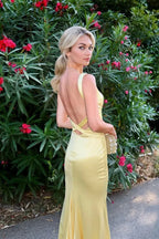 Mermaid V-neck Crisscross Back Floor Length Prom Dress