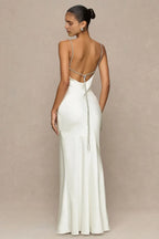 Gorgeous Mermaid Cowl Neck Sleeveless Chain Back Floor Length Evening Dress