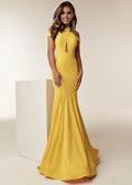 High Neck Sleeveless Mermaid Trendy Off the shoulder Floor length Prom Dress Hot Sale For Women
