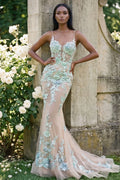 Mermaid Prom Dress Spaghetti Straps Mint Lace Applique Champagne With Train For Elegant Prom Night