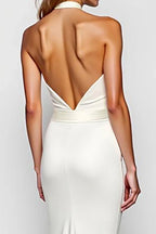 Mermaid/Trumpet Halter Sleeveless Backless Sweep/Brush Train Evening Dress