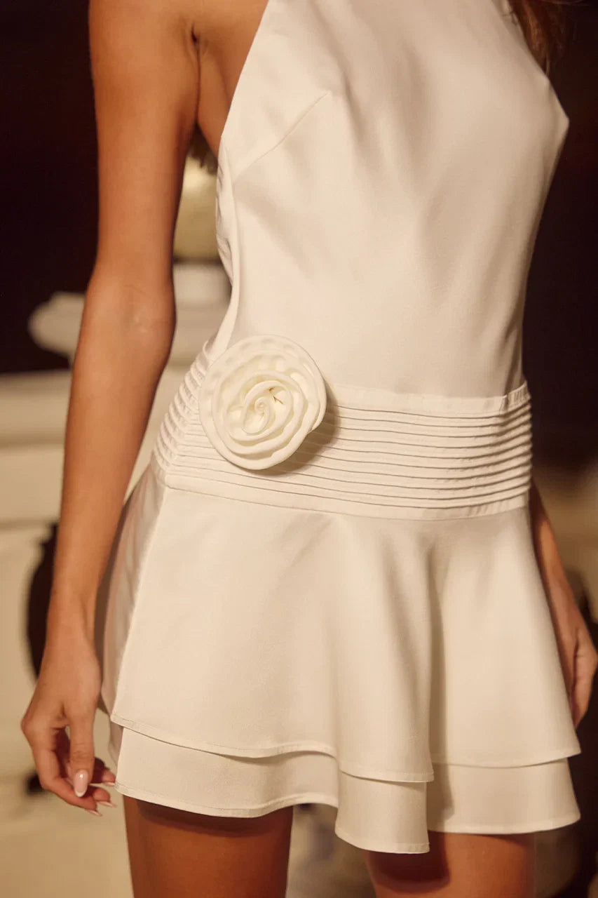 Pretty A-Line Halter Neck Sleeveless Pleated Short-Mini Homecoming Dress