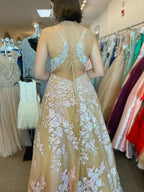 Prom Dress Champagne A Line V Neck Lace Applique Tulle Floor Length Dreamy Romantic For Prom Night