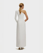 Striking Mermaid One Shoulder Long Sleeve Zipper Back Floor Length Evening Dress