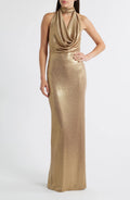 Stunning Sheath Cowl Neck Sleeveless Cutout Back Floor Length Evening Dress