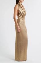 Stunning Sheath Cowl Neck Sleeveless Cutout Back Floor Length Evening Dress