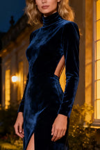 Mermaid/Trumpet High Neck Long Sleeve Sweep/Brush Train Winter Prom Dress