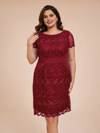 Sheath/Column Crew-Neck Short Sleeves Knee Length Plus Size Mother of the Bride Dress