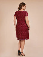 Sheath/Column Crew-Neck Short Sleeves Knee Length Plus Size Mother of the Bride Dress