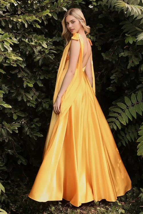 Vibrant A-Line Square Neck Cape Sleeve Low Back Floor Length Evening Dress