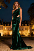 Vintage Mermaid/Trumpet One Shoulder Sleeveless Sweep/Brush Train Evening Dress