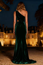 Vintage Mermaid/Trumpet One Shoulder Sleeveless Sweep/Brush Train Evening Dress