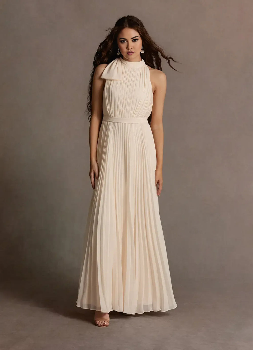Blue Dress A-Line Halter Sleeveless Simple Evening Dress Floor Length Pleats Prom Dress