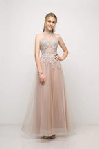 Dress A Line Appliques Long Evening Gown Formal Dress Backless Sleeveless Prom Dress