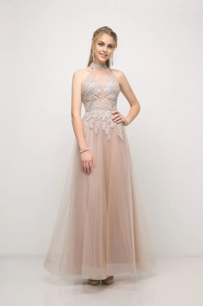 Dress A Line Appliques Long Evening Gown Formal Dress Backless Sleeveless Prom Dress