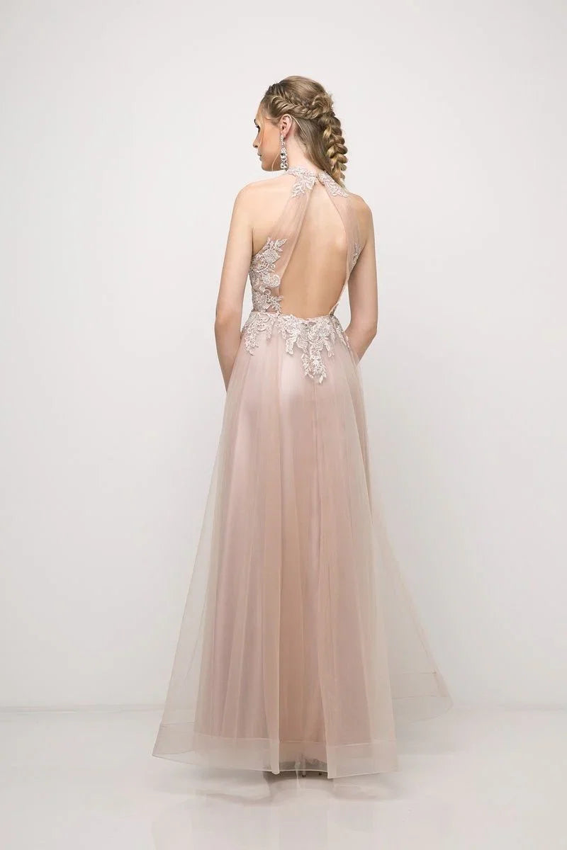 Dress A Line Appliques Long Evening Gown Formal Dress Backless Sleeveless Prom Dress