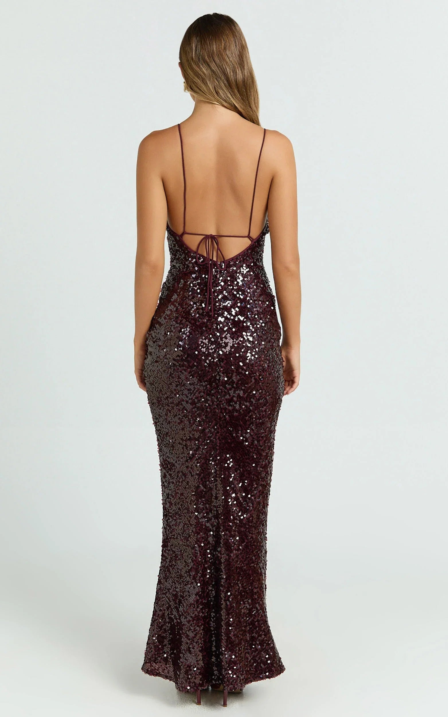 Wine Dress Luxury Plunge Neck Sheer Slip Maxi Dress Sheath Column Sleeveless Backless Evening Dress