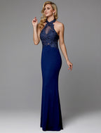 Evening Gown Cut Out Dress Wedding Guest Floor Length Sleeveless Spandex Crisscross Back with Applique