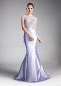 Elegant Mermaid Illusion Sleeveless Keyhole-Back Sweep-Train Prom Dress