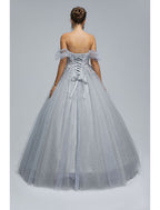 Ball Gown Prom Dresses Princess Dress Graduation Quinceanera Floor Length Short Sleeve Sweetheart Tulle with Sequin Appliques
